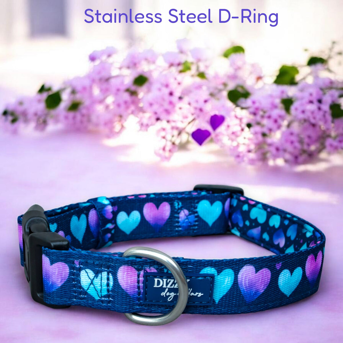 Padded Dog Collar product image 1