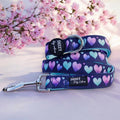 Dog Leash product image 1