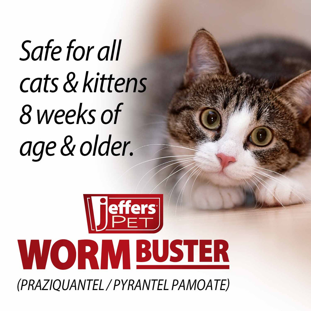 Cat Dewormer product image 6