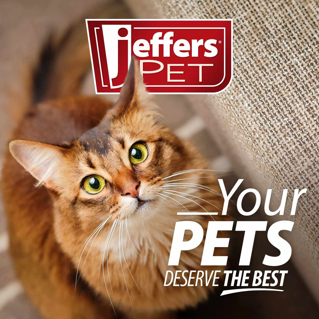Cat Dewormer product image 9