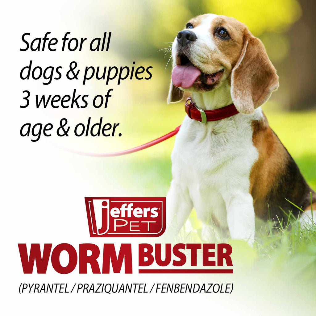 Dog Dewormer Tablet product image 6