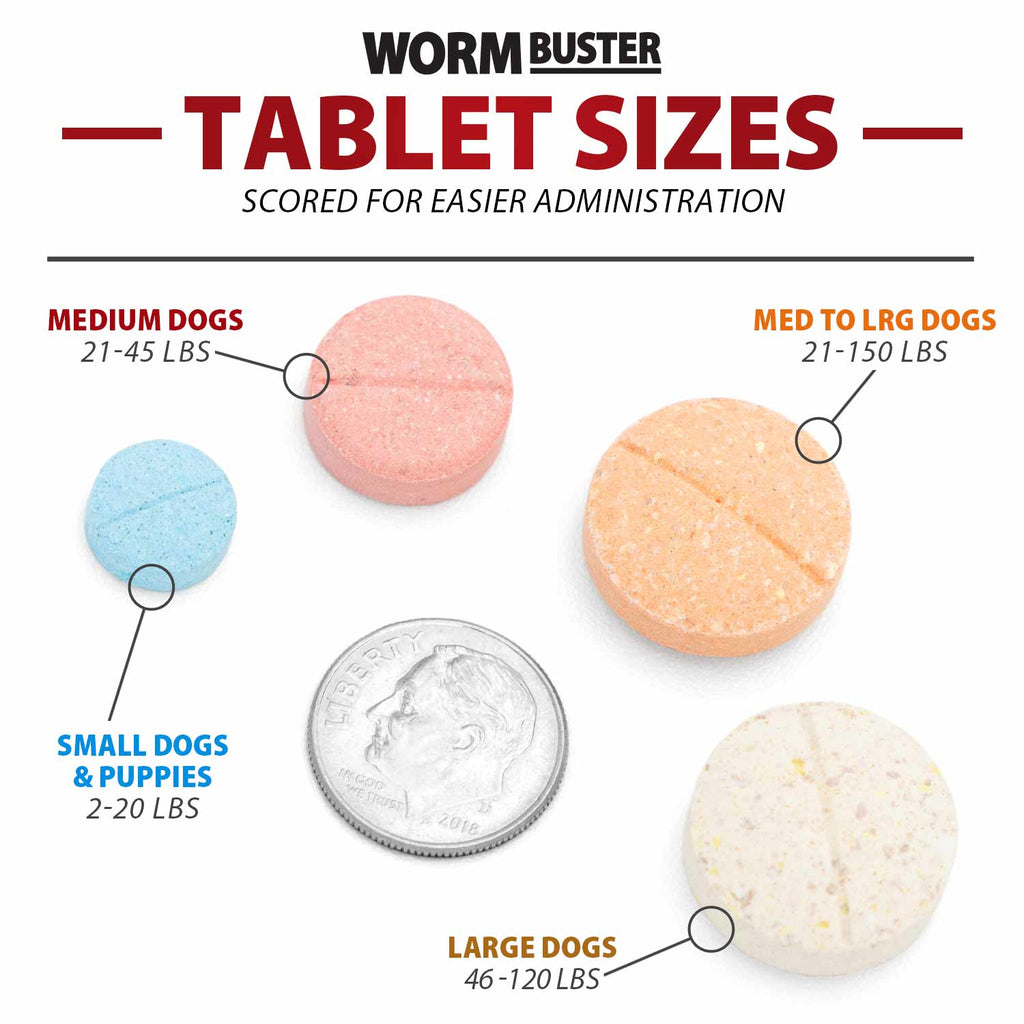 Dog Dewormer Tablet product image 9