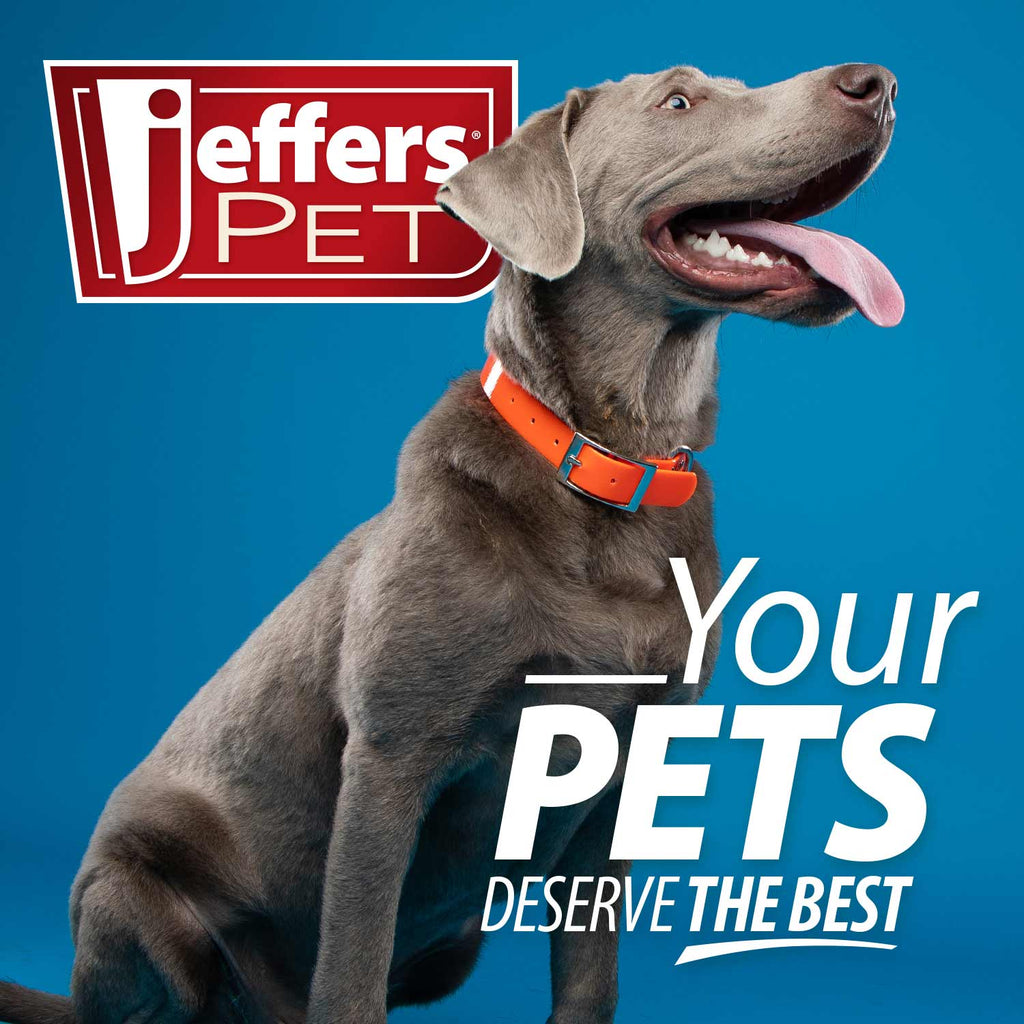 Dog Dewormer Tablet product image 19