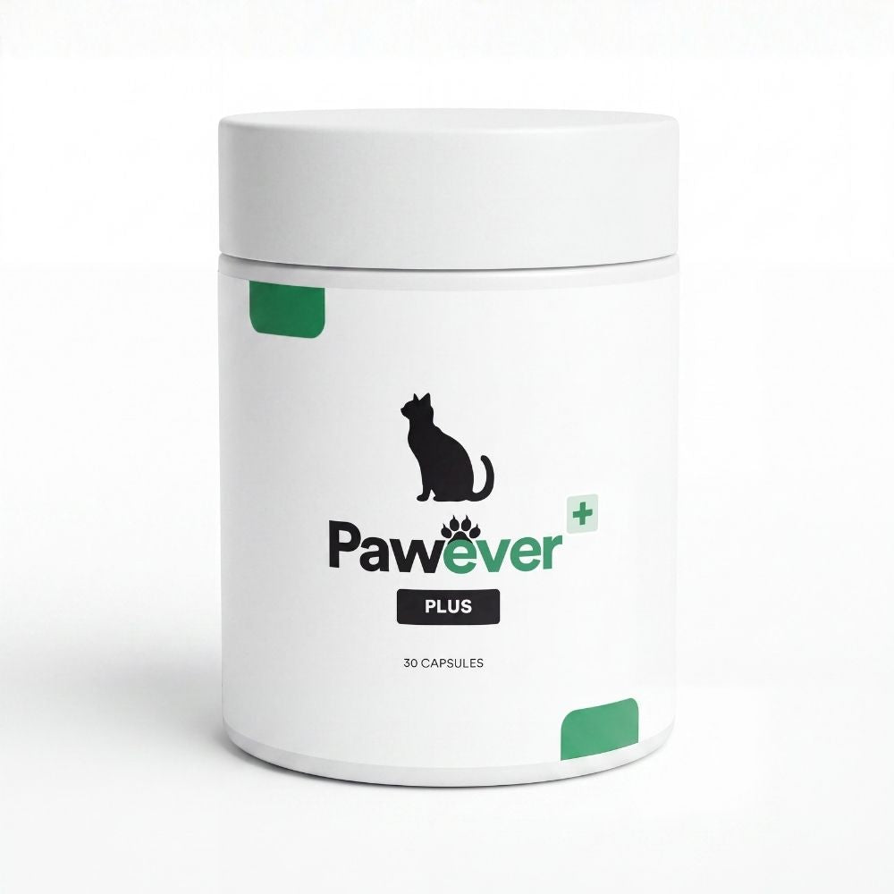 Cat Supplement product image 1