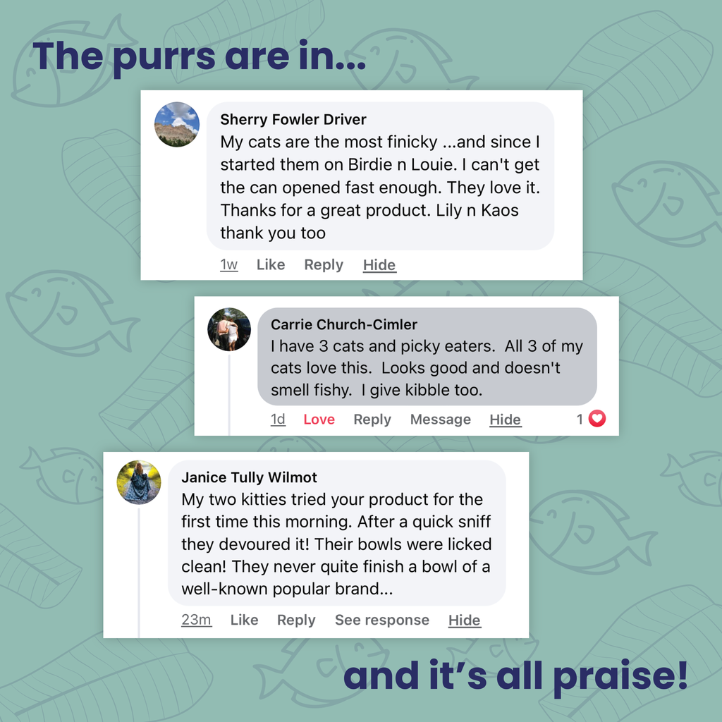 Tuna Tuesday 12pk Wet Cat Food product image 4