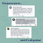 Tuna Tuesday 12pk Wet Cat Food product image 4