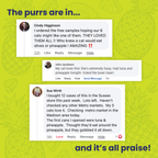 Tuna & Pineapple 12pk Wet Cat Food product image 4