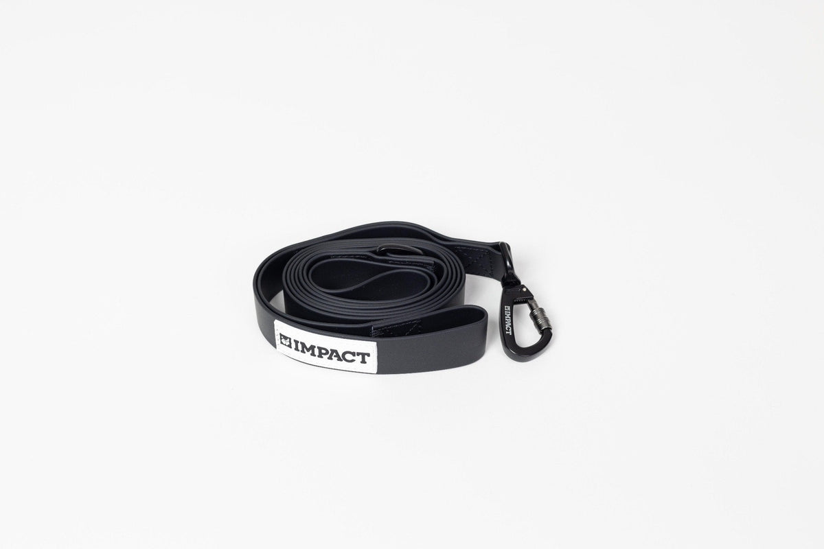 Dog Leash product image 1