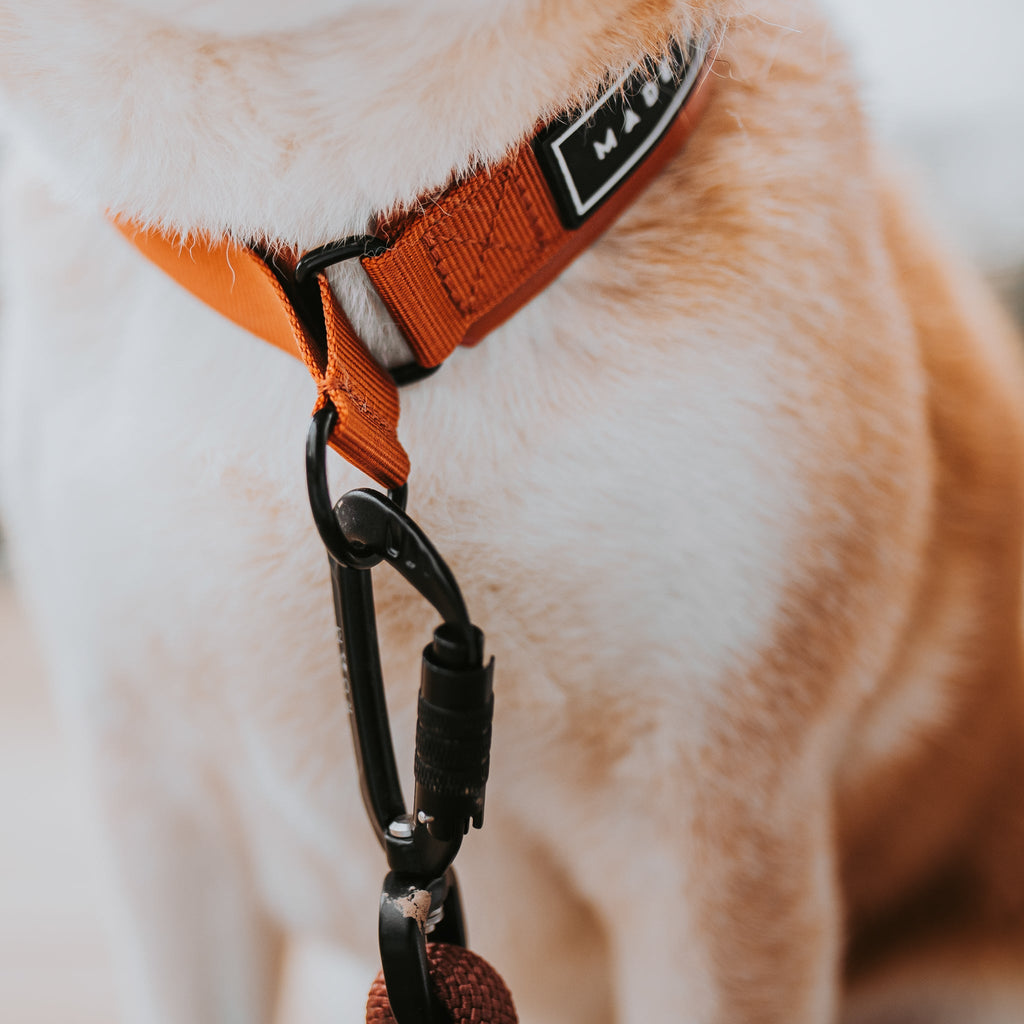 Martingale Collar product image 2
