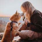 Martingale Collar product image 9