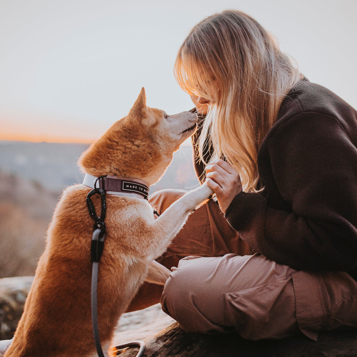 Martingale Collar product image 9