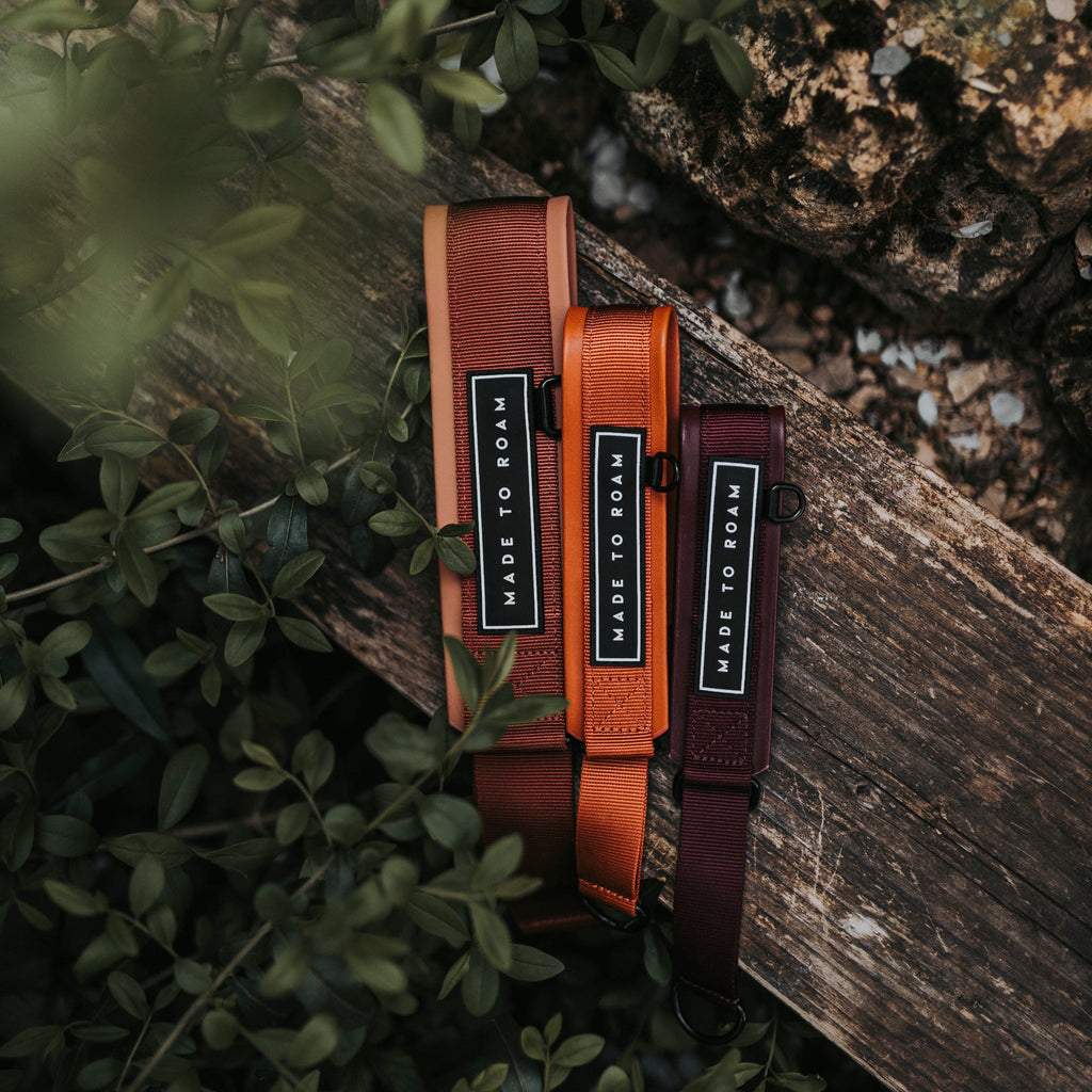 Martingale Collar product image 41