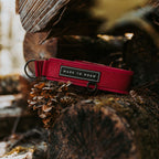 Martingale Collar product image 42