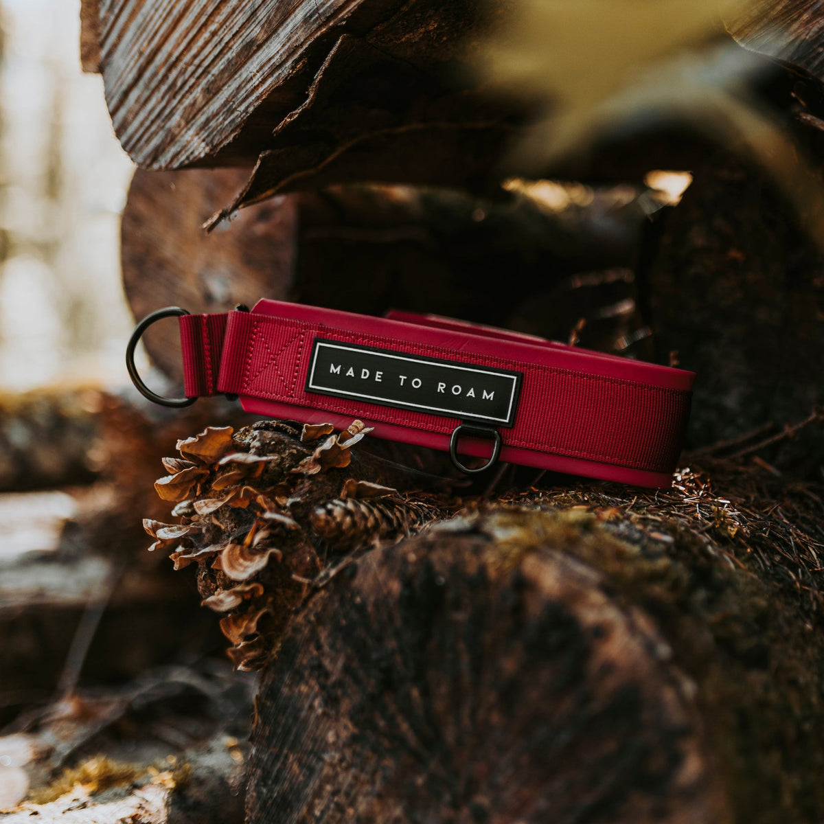 Martingale Collar product image 42