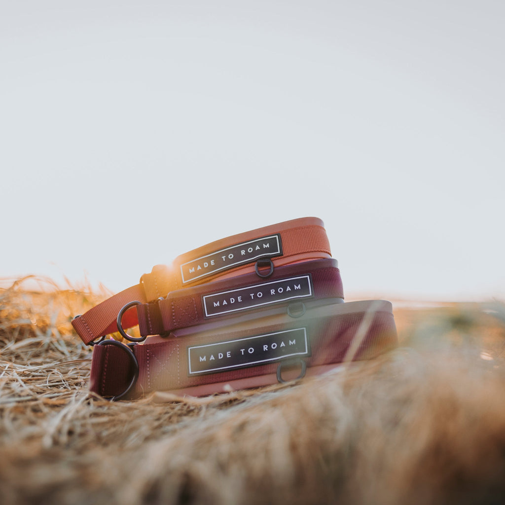 Martingale Collar product image 44