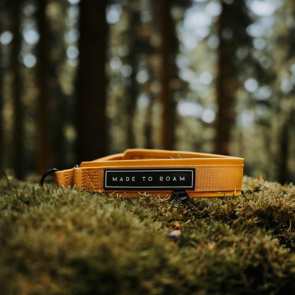 Martingale Collar product image 48