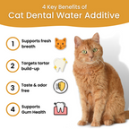 Water Fountain Kit product image 5