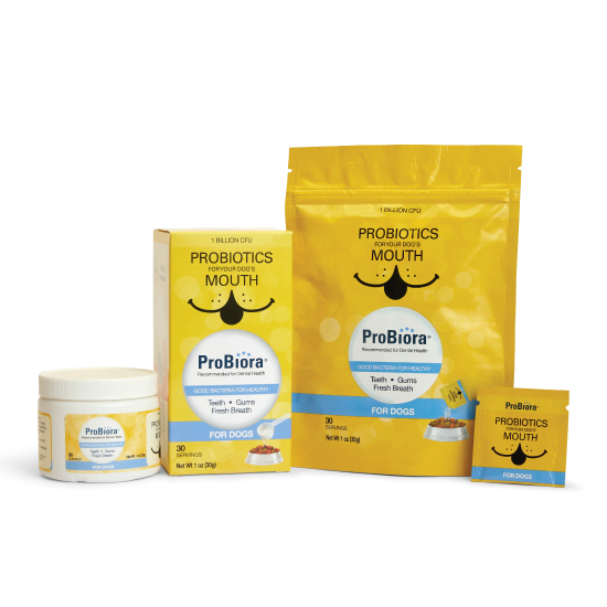 Pet Oral Probiotic Powder product image 10