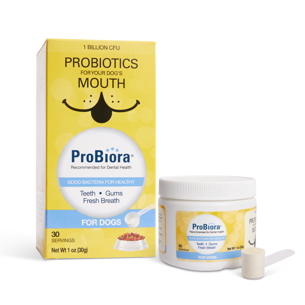 Pet Oral Probiotic Powder product image 11