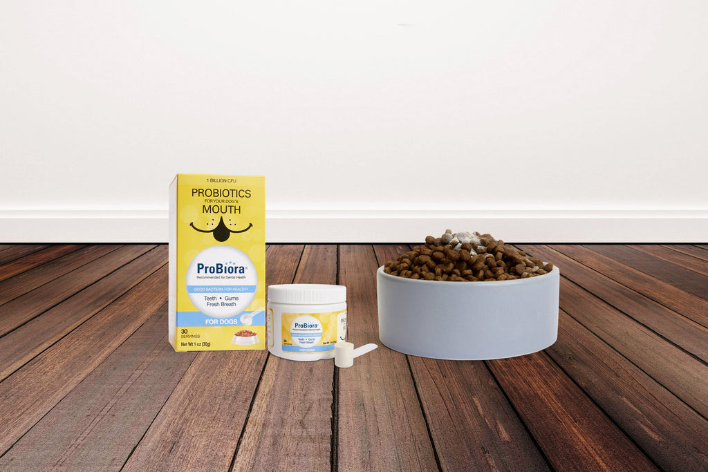 Pet Oral Probiotic Powder product image 14