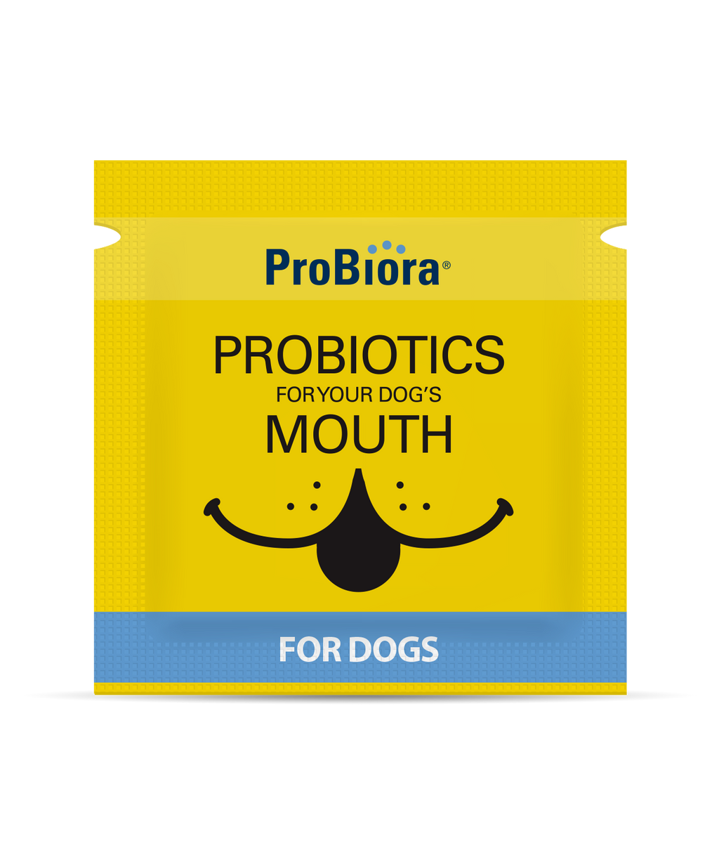 Pet Oral Probiotic Powder product image 17