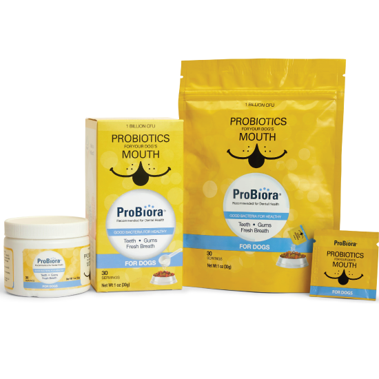 Pet Oral Probiotic Powder product image 20
