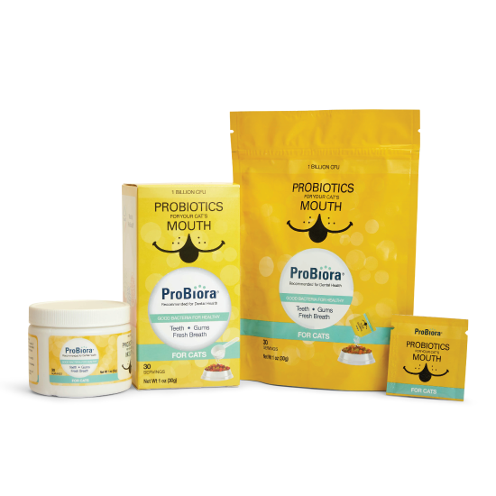Pet Oral Probiotic Powder product image 23