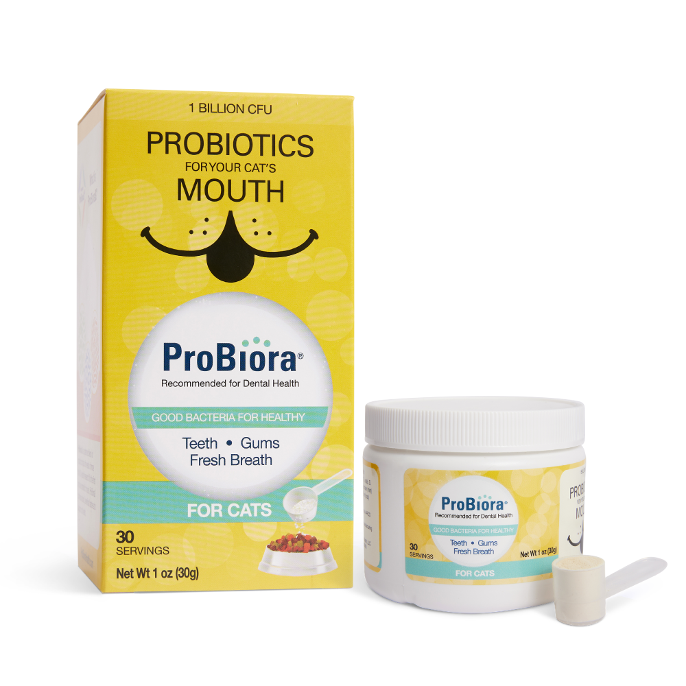 Pet Oral Probiotic Powder product image 26