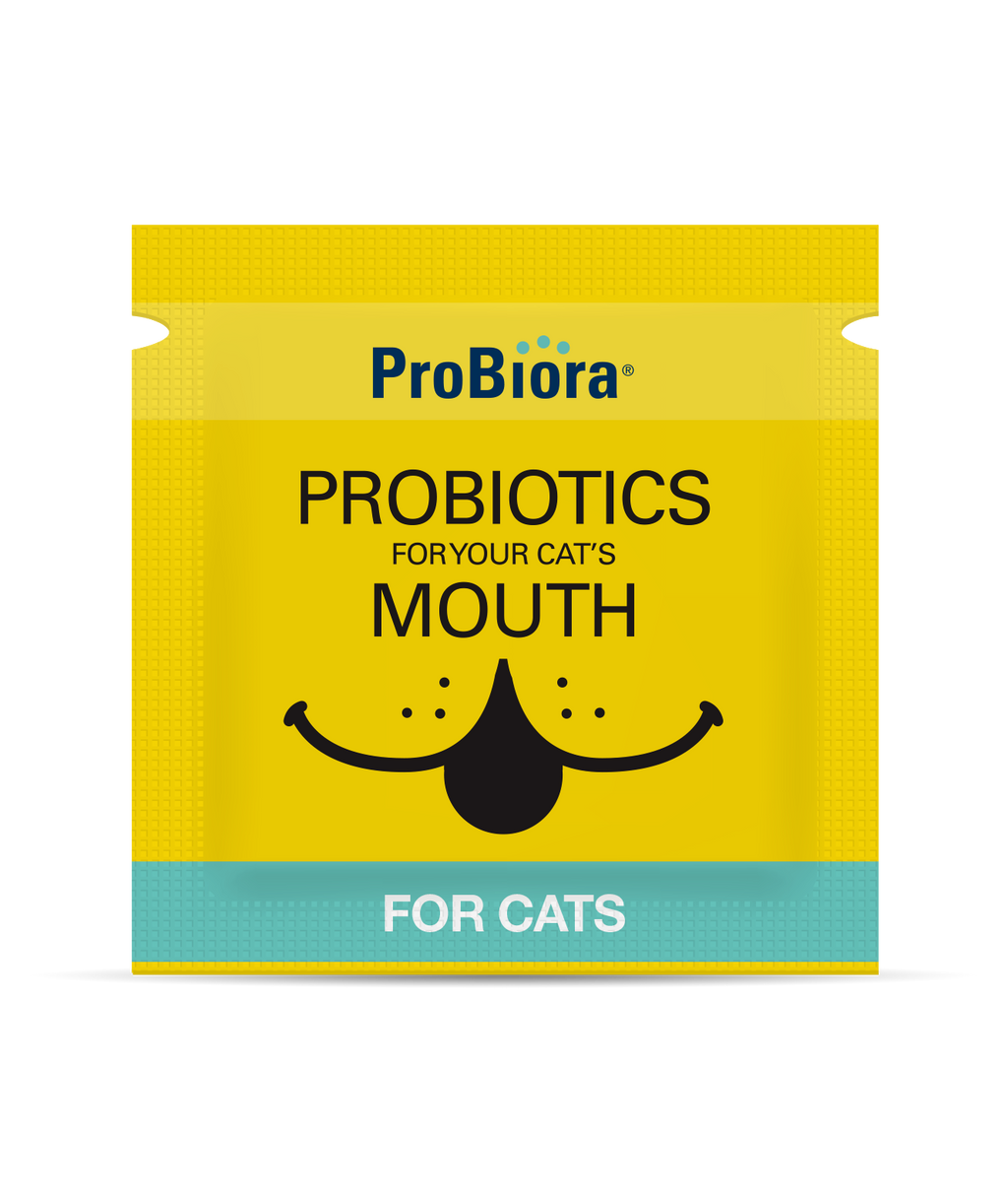Pet Oral Probiotic Powder product image 31