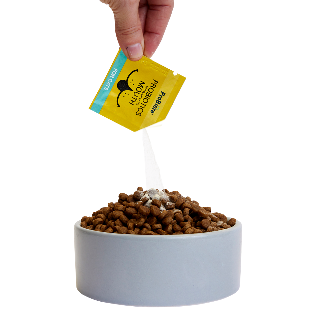 Pet Oral Probiotic Powder product image 34