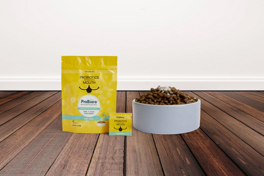 Pet Oral Probiotic Powder product image 39