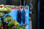 Submersible Aquarium Heater product image 2
