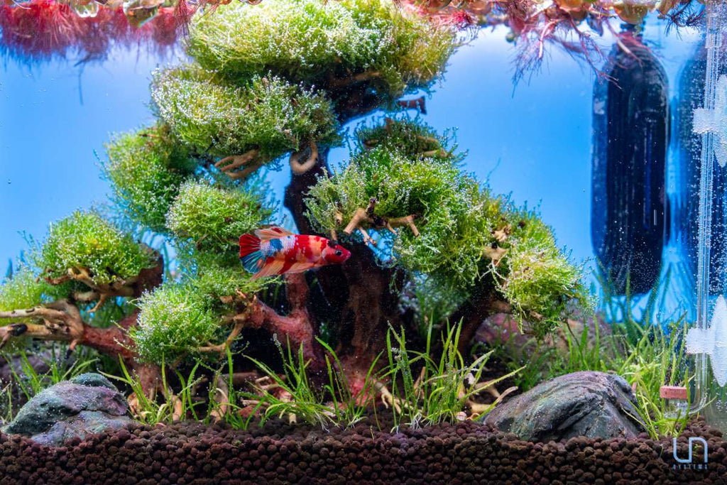 Submersible Aquarium Heater product image 8