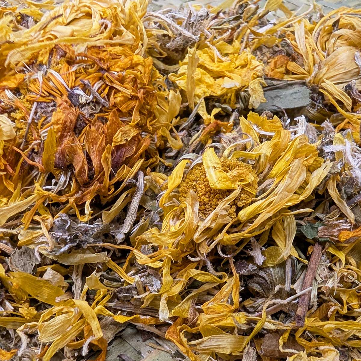 Rabbit Forage Blend product image 2
