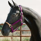 Nylon Horse Halter product image 1