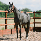Nylon Horse Halter product image 2