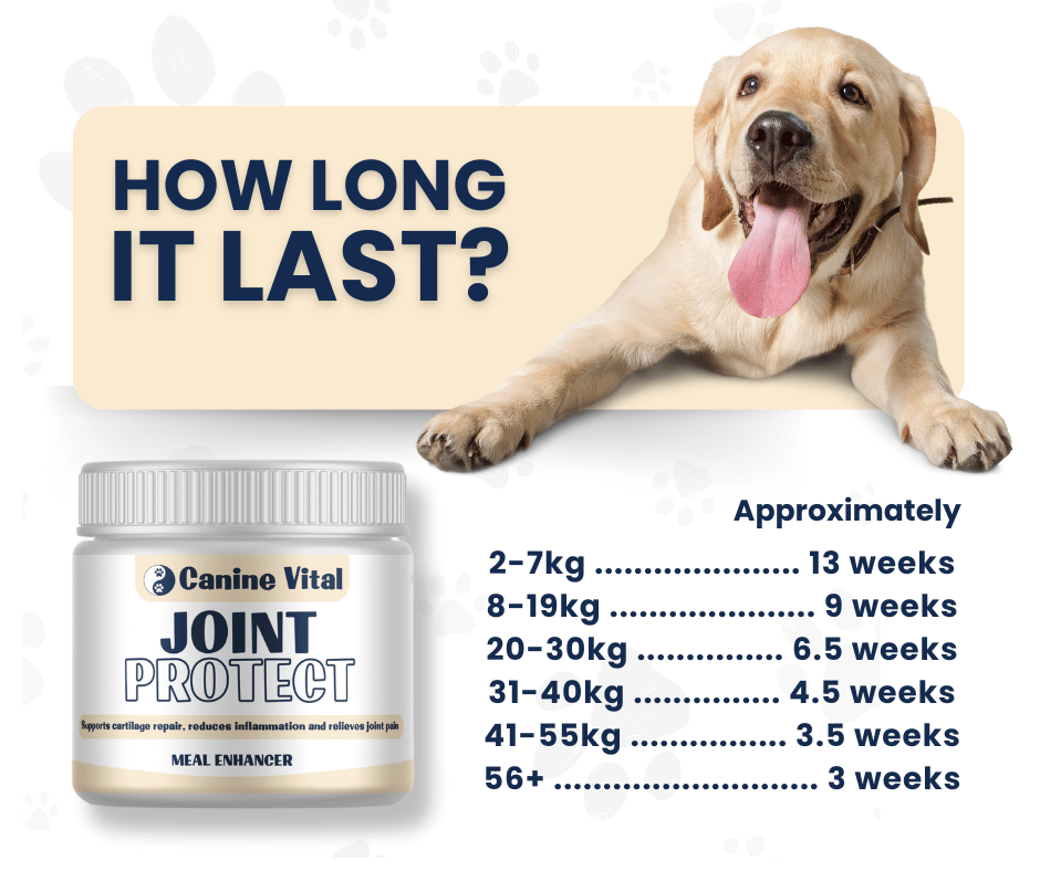 Dog Joint Supplement product image 4