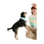 Bison Dog Treats product image 5