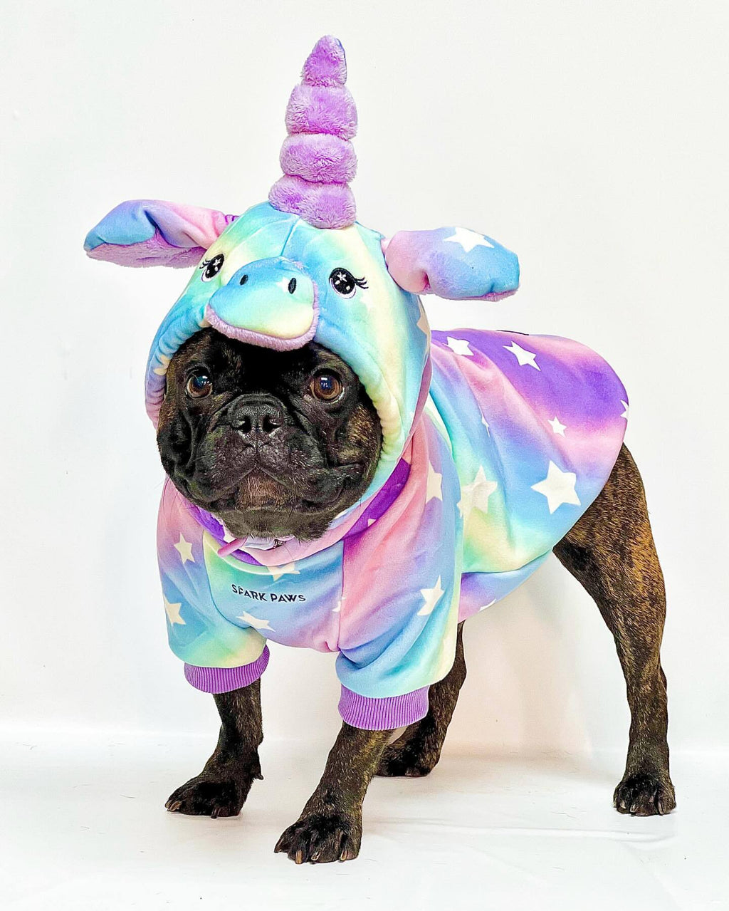 Halloween Dog Hoodie product image 1
