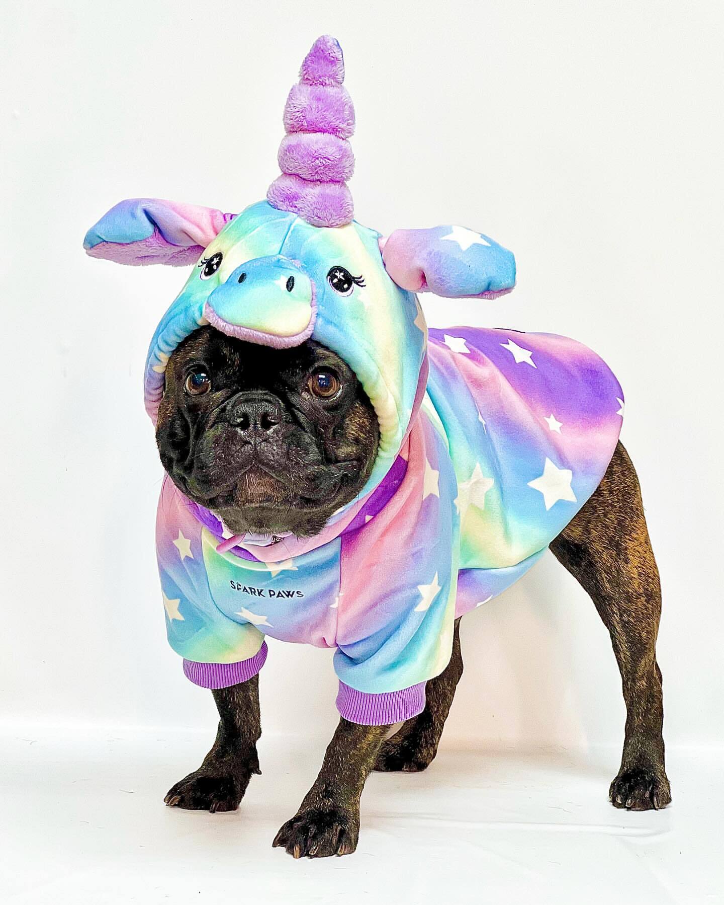 Halloween Dog Hoodie product image 1