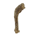 Freeze Dried Dog Chews product image 1