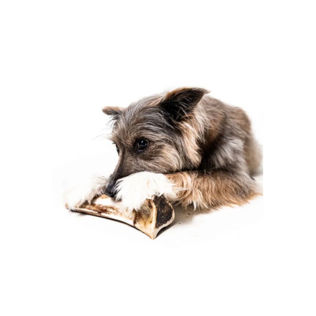 Bison Marrow Bone product image 2
