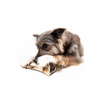 Bison Marrow Bone product image 2