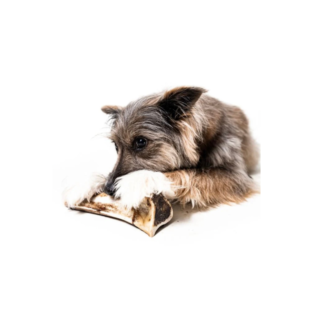 Bison Marrow Bone product image 2