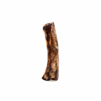 Bison Marrow Bone product image 4