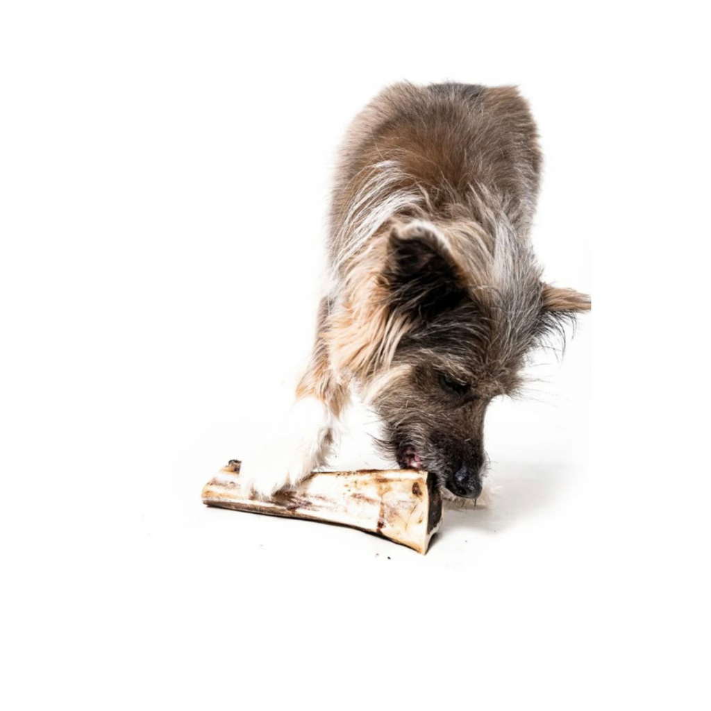 Bison Marrow Bone product image 6