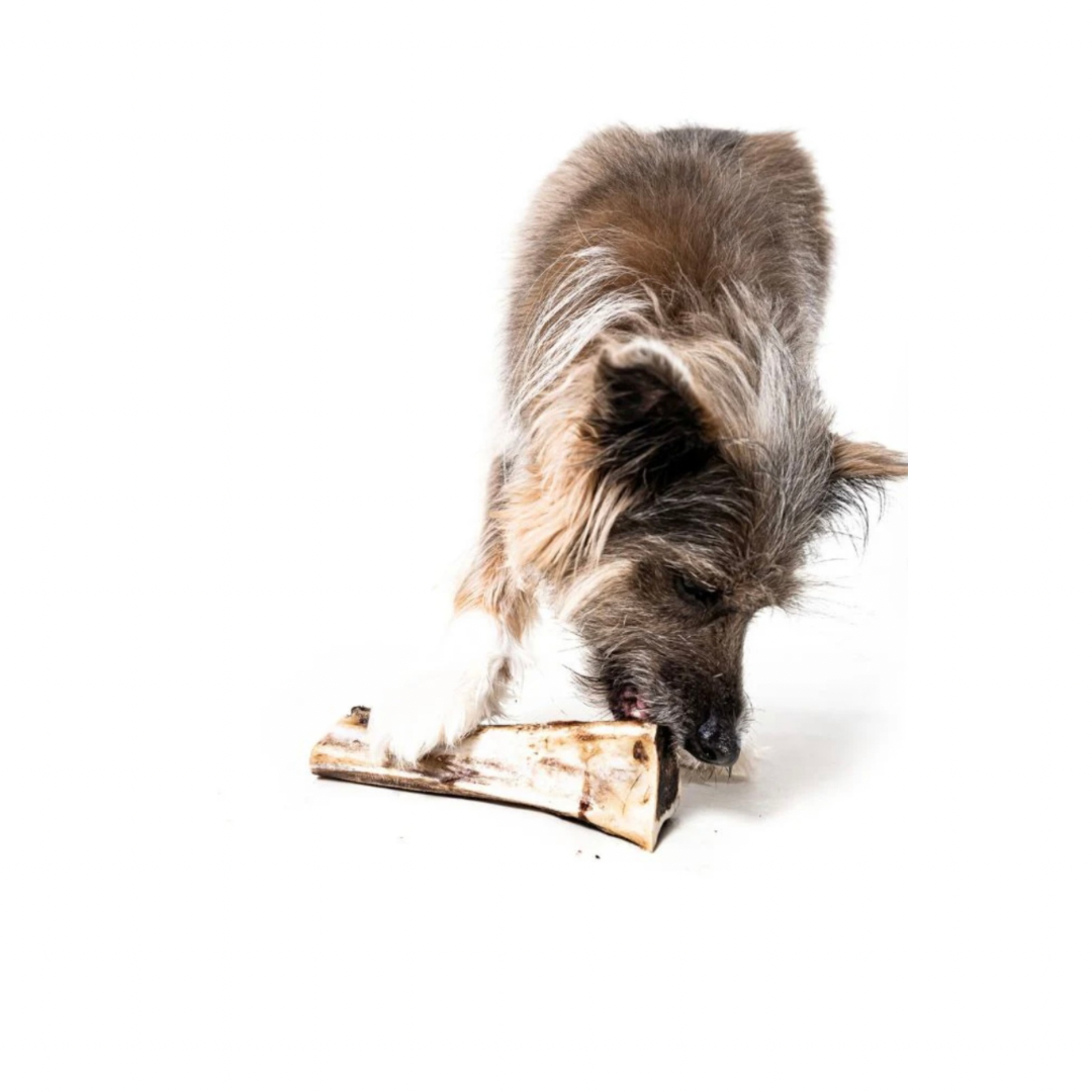 Bison Marrow Bone product image 6