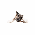 Bison Marrow Bone product image 7