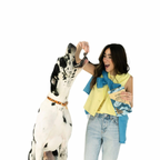 Elk Jerky Dog Treats product image 5