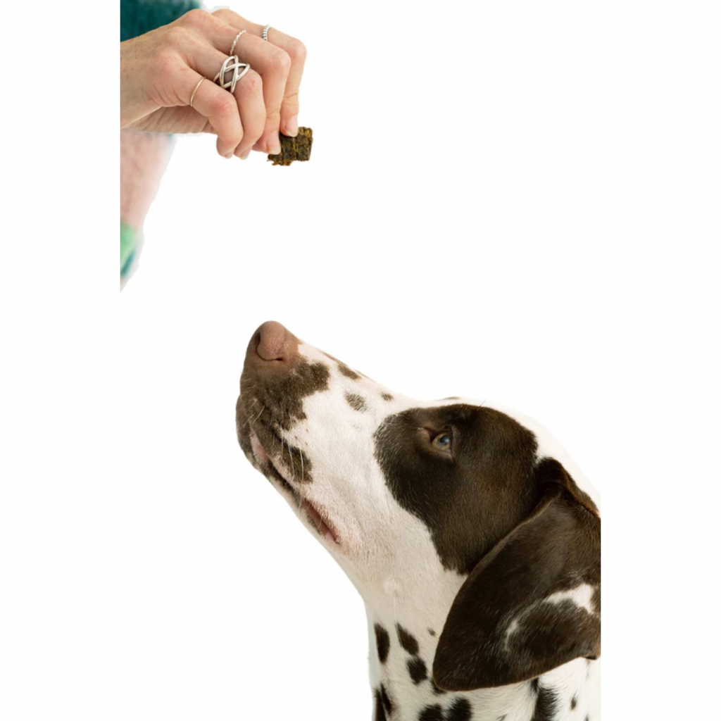 Dog Jerky Treats product image 3